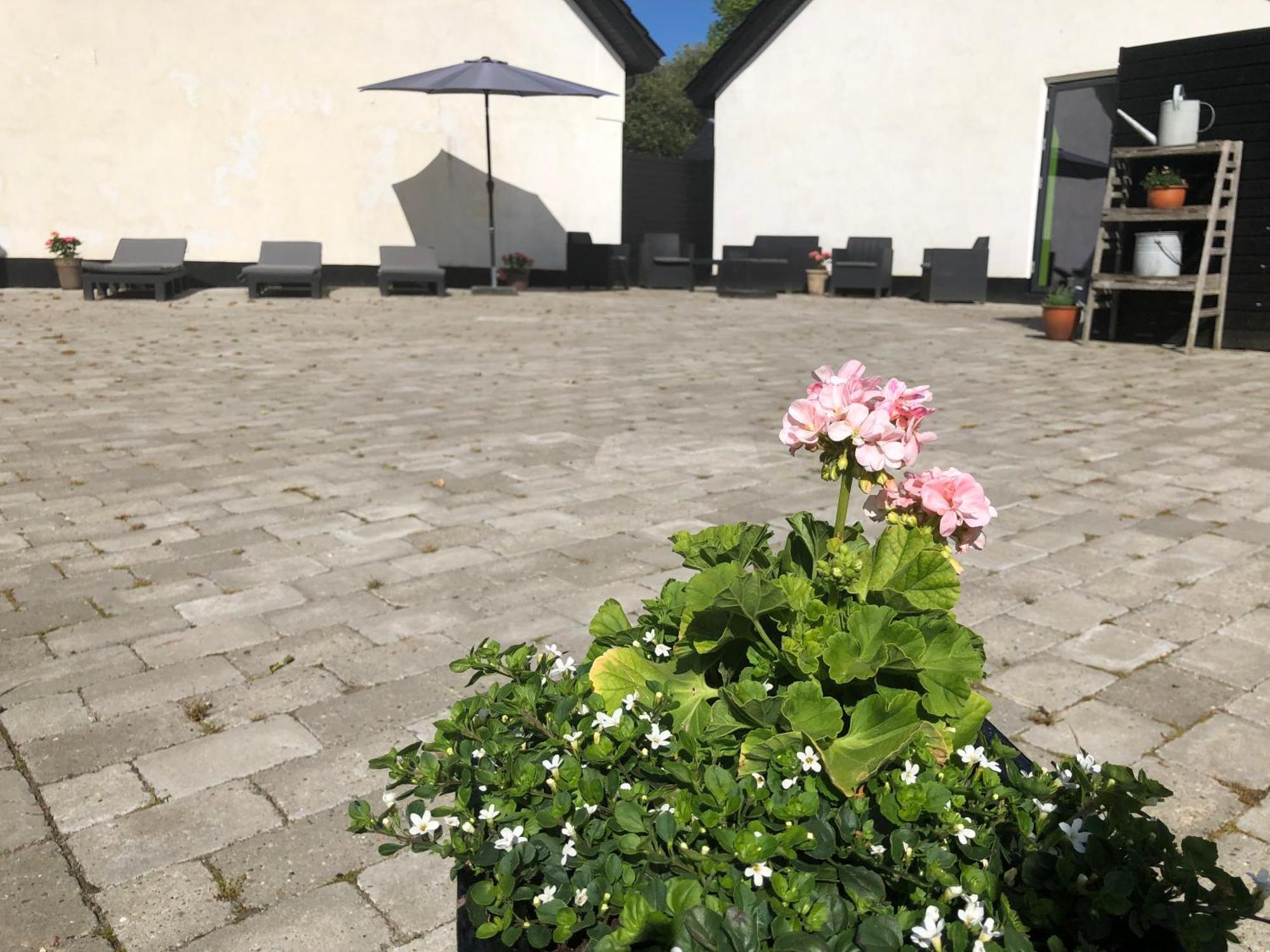The Barn Guest House Give Exterior foto